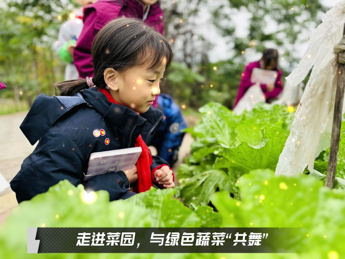 #美好學(xué)校|留校時(shí)光，走出教室，與綠色蔬菜共舞