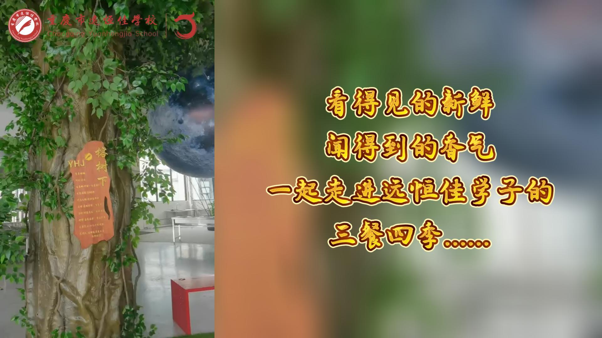 #美好學(xué)校|看得見的新鮮，聞得到的香味，一起走進(jìn)遠(yuǎn)恒佳學(xué)子的三餐四季!